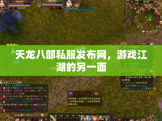 天龙八部私服发布网，游戏江湖的另一面