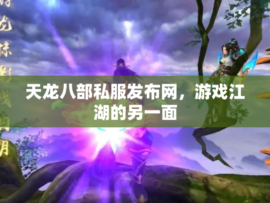 天龙八部私服发布网，游戏江湖的另一面