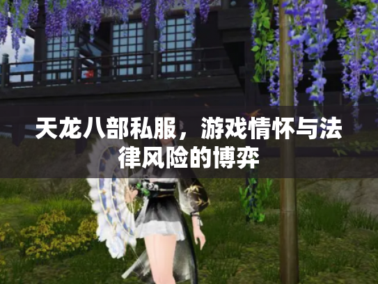 天龙八部私服，游戏情怀与法律风险的博弈
