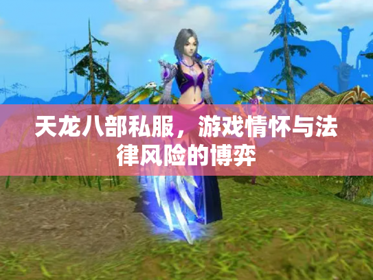 天龙八部私服，游戏情怀与法律风险的博弈