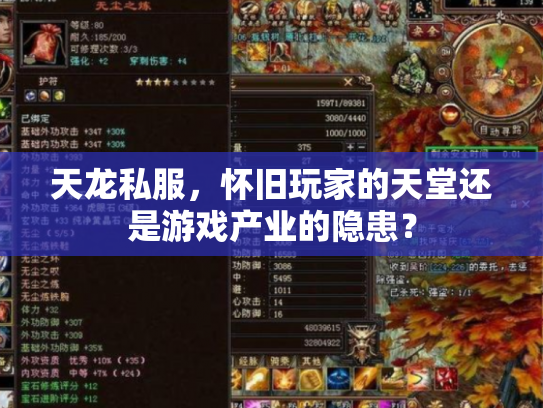天龙私服，怀旧玩家的天堂还是游戏产业的隐患？
