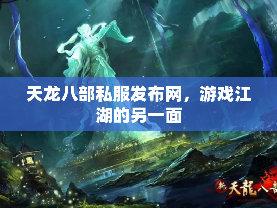 天龙八部私服发布网，游戏江湖的另一面
