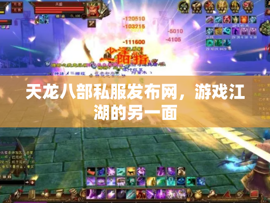 天龙八部私服发布网，游戏江湖的另一面