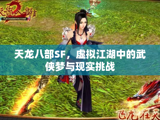 天龙八部SF，虚拟江湖中的武侠梦与现实挑战