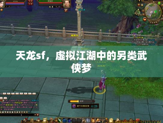 天龙sf，虚拟江湖中的另类武侠梦