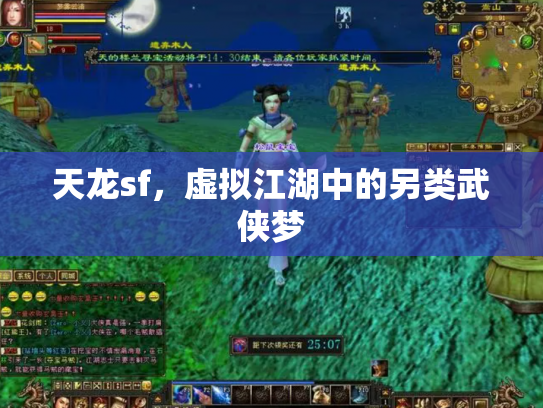 天龙sf，虚拟江湖中的另类武侠梦