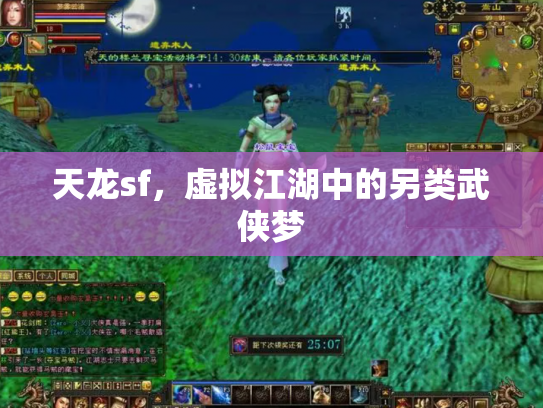 天龙sf，虚拟江湖中的另类武侠梦