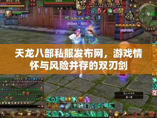 天龙八部私服发布网，游戏情怀与风险并存的双刃剑