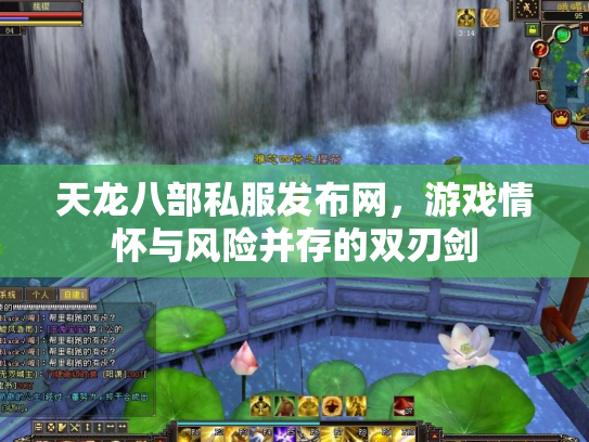 天龙八部私服发布网，游戏情怀与风险并存的双刃剑
