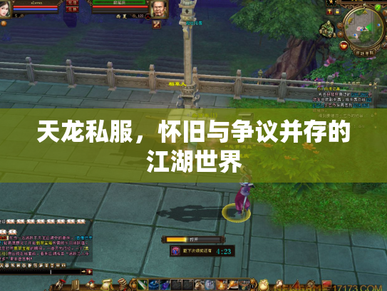 天龙私服，怀旧与争议并存的江湖世界
