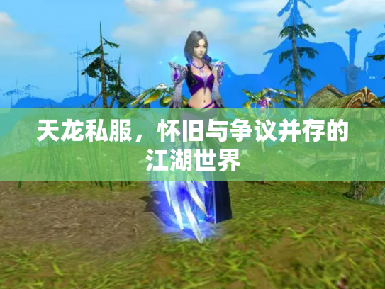 天龙私服，怀旧与争议并存的江湖世界
