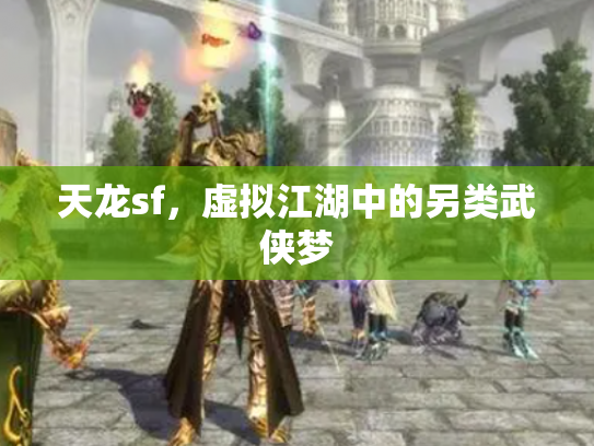 天龙sf，虚拟江湖中的另类武侠梦