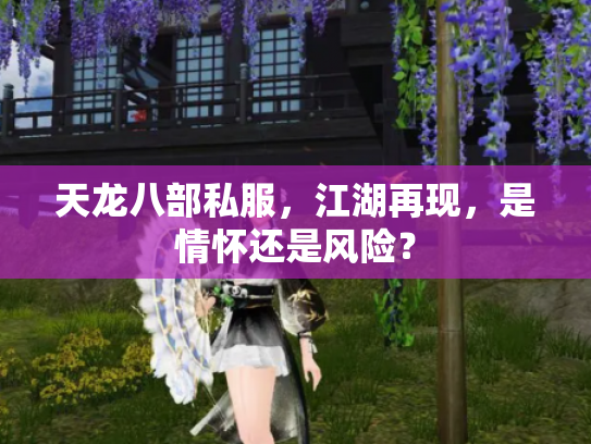 天龙八部私服，江湖再现，是情怀还是风险？