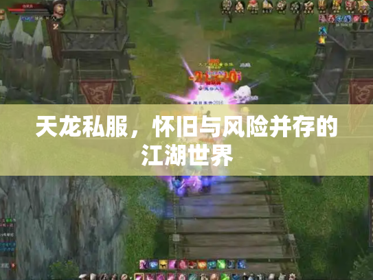 天龙私服，怀旧与风险并存的江湖世界