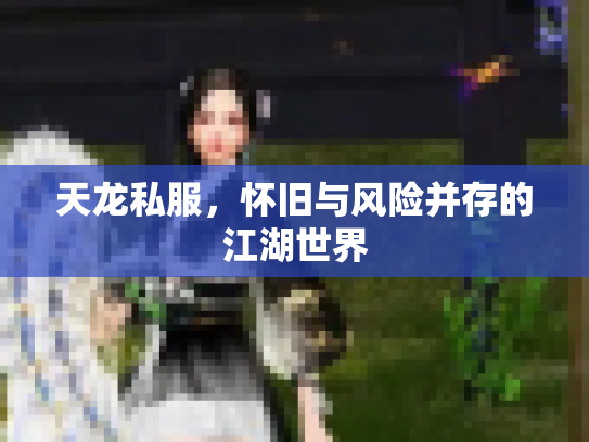 天龙私服，怀旧与风险并存的江湖世界