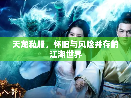 天龙私服，怀旧与风险并存的江湖世界