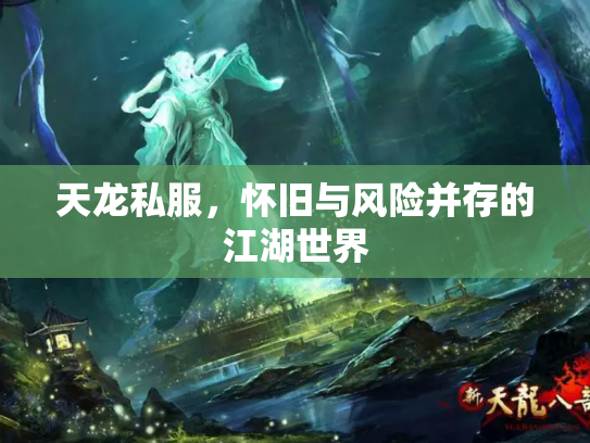 天龙私服，怀旧与风险并存的江湖世界