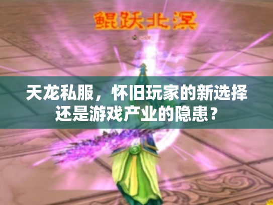 天龙私服，怀旧玩家的新选择还是游戏产业的隐患？