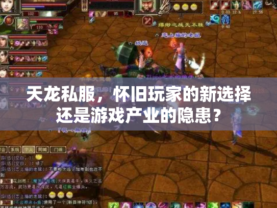 天龙私服，怀旧玩家的新选择还是游戏产业的隐患？