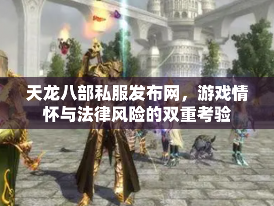 天龙八部私服发布网，游戏情怀与法律风险的双重考验