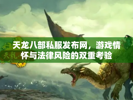 天龙八部私服发布网，游戏情怀与法律风险的双重考验