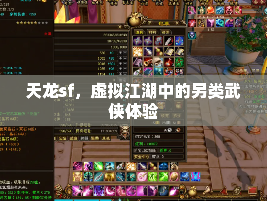 天龙sf，虚拟江湖中的另类武侠体验