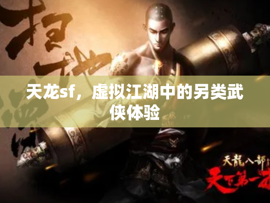 天龙sf，虚拟江湖中的另类武侠体验