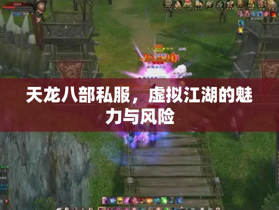 天龙八部私服，虚拟江湖的魅力与风险