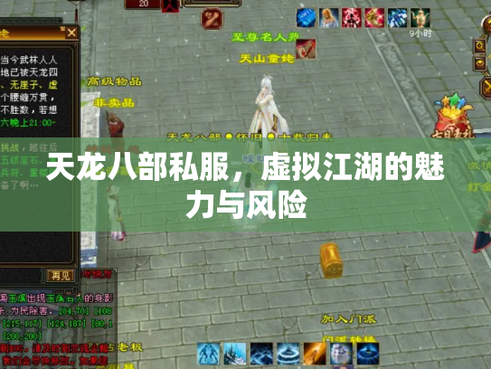 天龙八部私服，虚拟江湖的魅力与风险