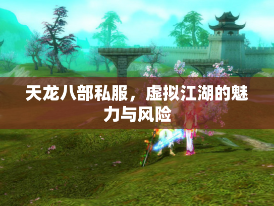 天龙八部私服，虚拟江湖的魅力与风险