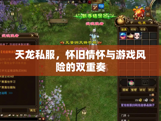 天龙私服，怀旧情怀与游戏风险的双重奏