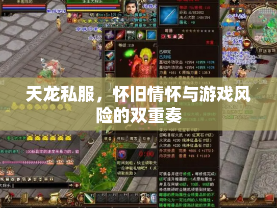 天龙私服，怀旧情怀与游戏风险的双重奏