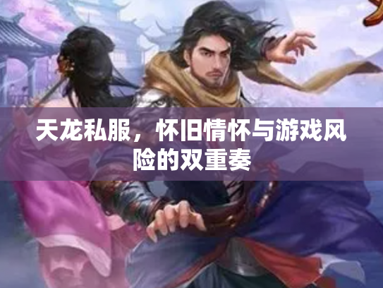 天龙私服，怀旧情怀与游戏风险的双重奏