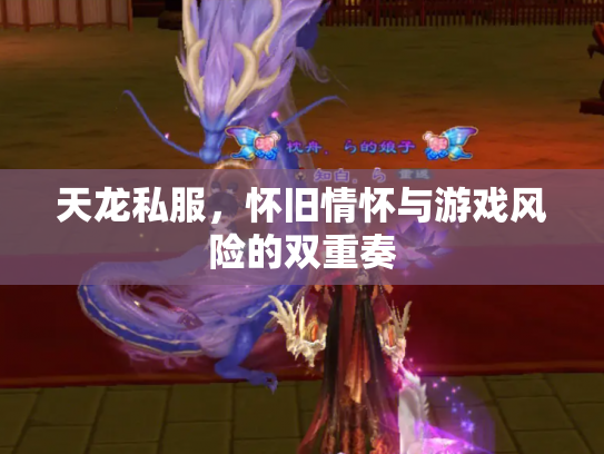 天龙私服，怀旧情怀与游戏风险的双重奏