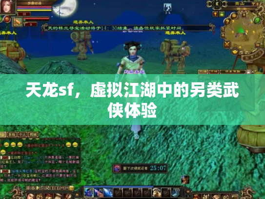 天龙sf，虚拟江湖中的另类武侠体验