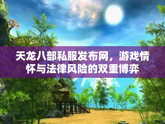 天龙八部私服发布网，游戏情怀与法律风险的双重博弈