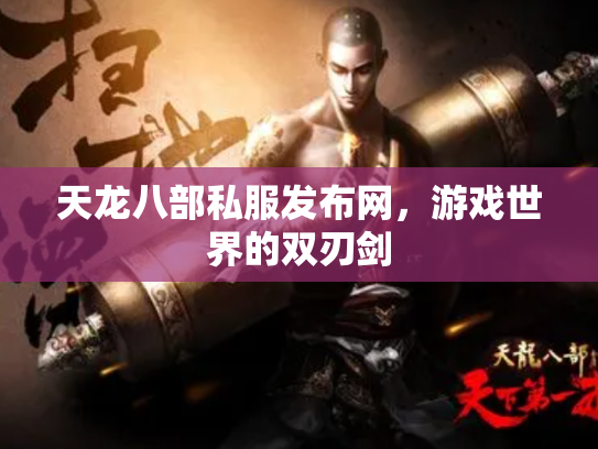 天龙八部私服发布网，游戏世界的双刃剑