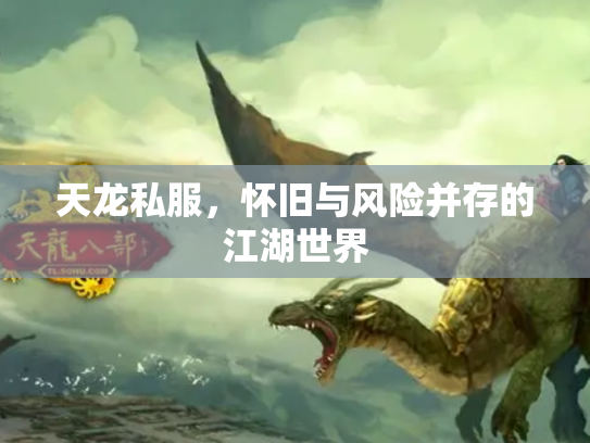 天龙私服，怀旧与风险并存的江湖世界