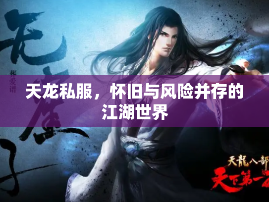 天龙私服，怀旧与风险并存的江湖世界