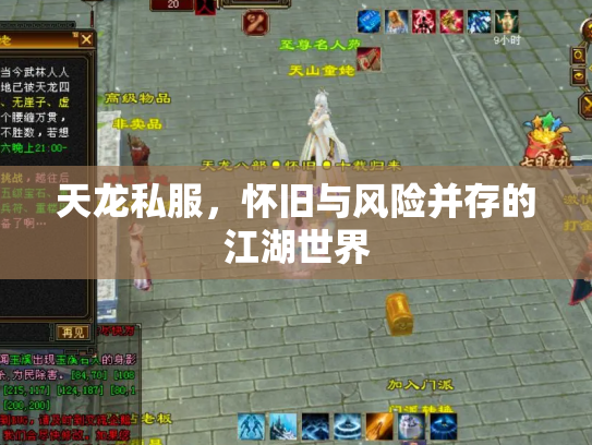 天龙私服，怀旧与风险并存的江湖世界