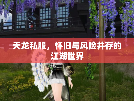 天龙私服，怀旧与风险并存的江湖世界