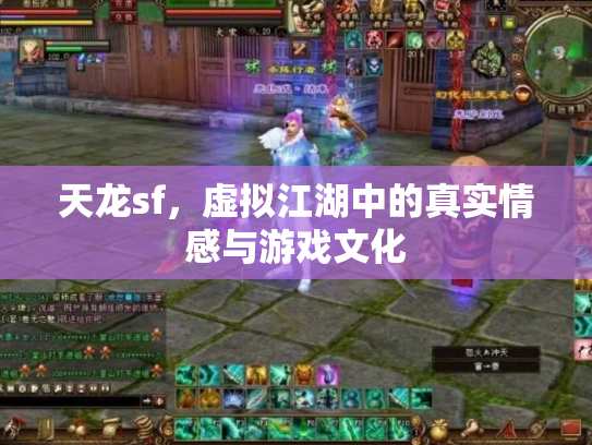 天龙sf，虚拟江湖中的真实情感与游戏文化