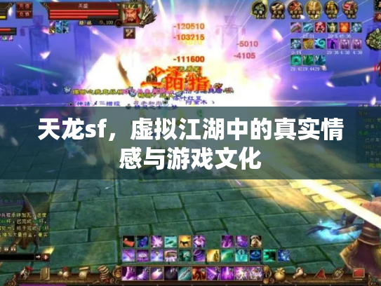天龙sf，虚拟江湖中的真实情感与游戏文化