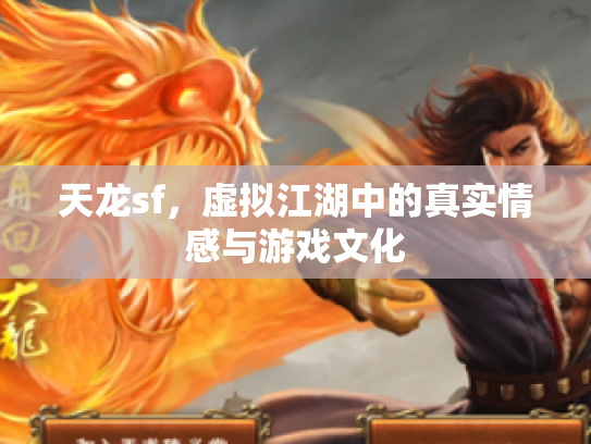 天龙sf，虚拟江湖中的真实情感与游戏文化
