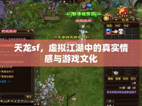 天龙sf，虚拟江湖中的真实情感与游戏文化