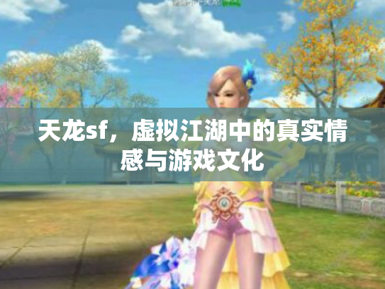 天龙sf，虚拟江湖中的真实情感与游戏文化