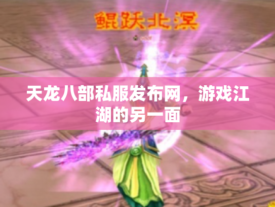 天龙八部私服发布网，游戏江湖的另一面