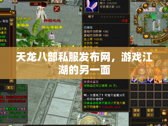 天龙八部私服发布网，游戏江湖的另一面