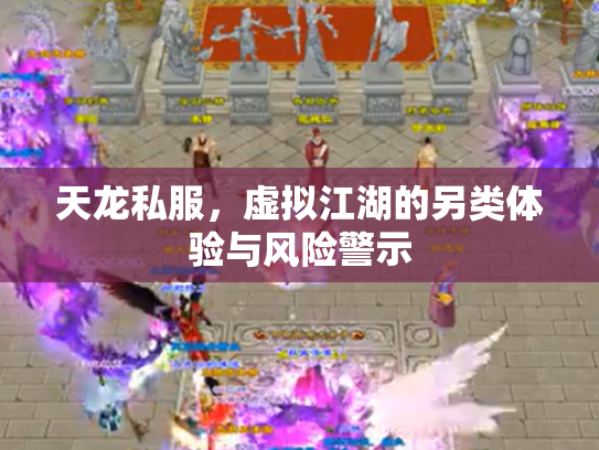 天龙私服，虚拟江湖的另类体验与风险警示
