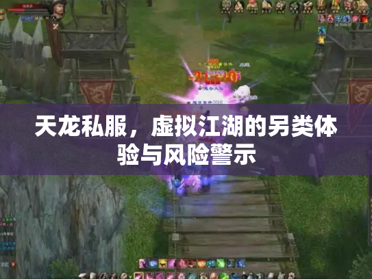 天龙私服，虚拟江湖的另类体验与风险警示